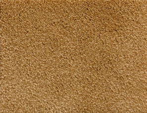 Ковролин Radici Lord Biondo 125A фото 1 | FLOORDEALER